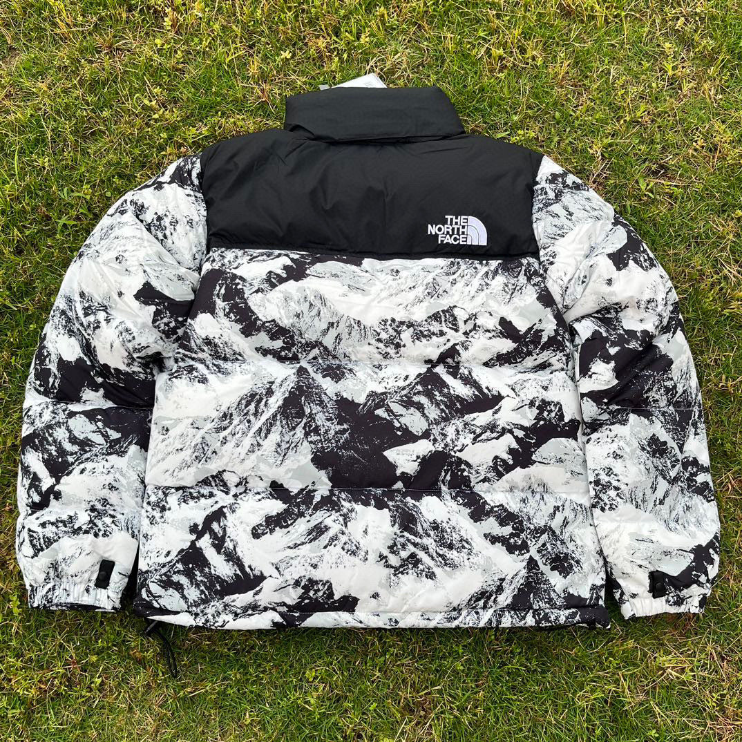 【最高品質】TNF 1996 Retro Nuptse 700 Fill Packable Jacket