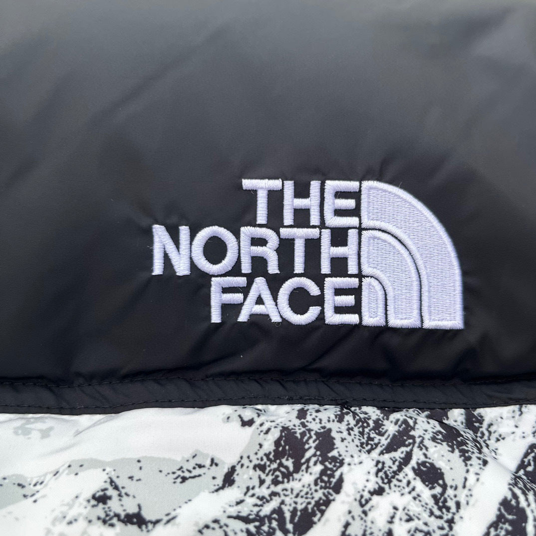 【最高品質】TNF 1996 Retro Nuptse 700 Fill Packable Jacket