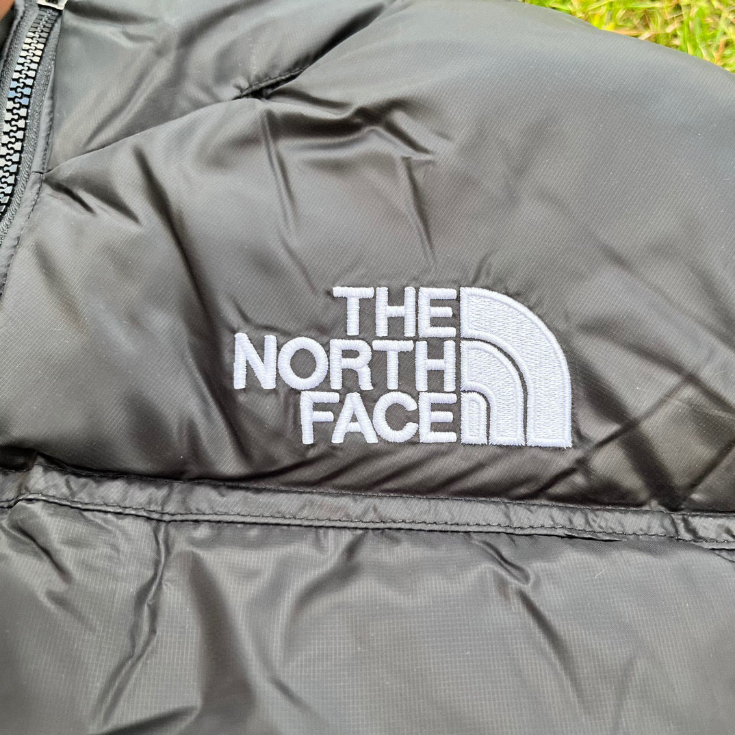 【最高品質】TNF×DSM 1996 Retro Nuptse 700 Fill Packable Jacket