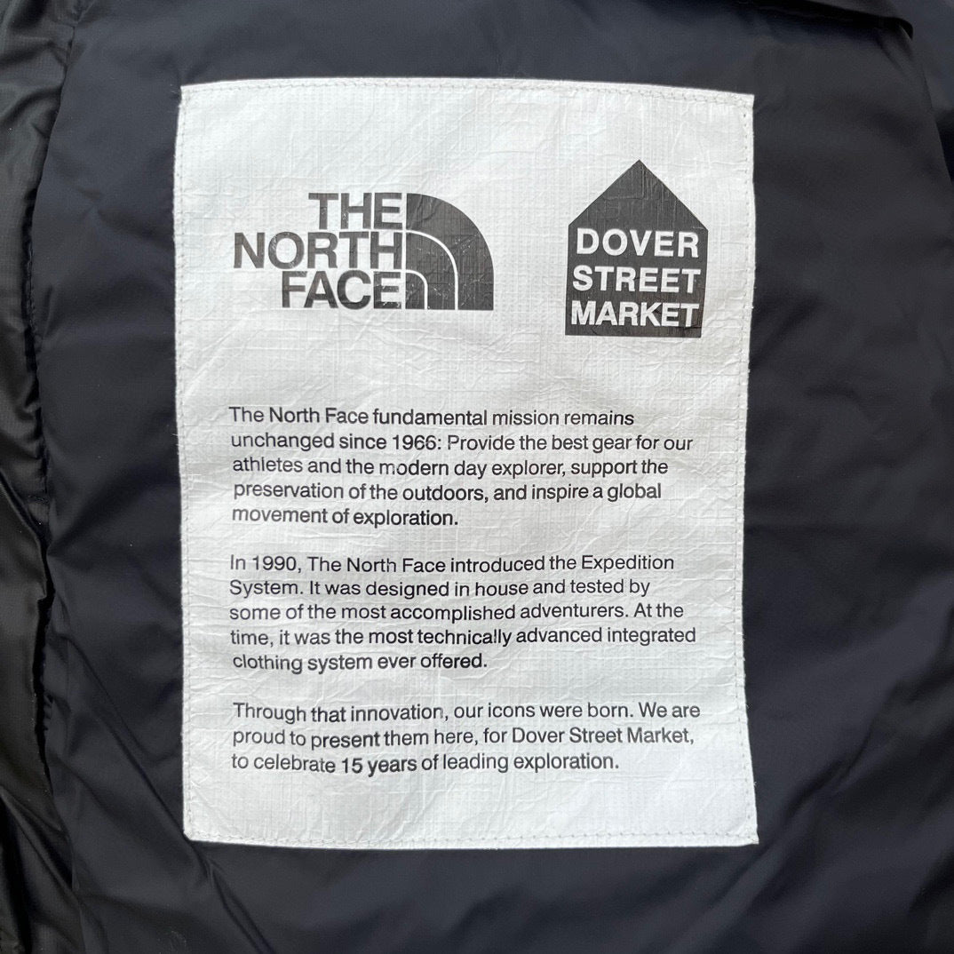 【最高品質】TNF×DSM 1996 Retro Nuptse 700 Fill Packable Jacket