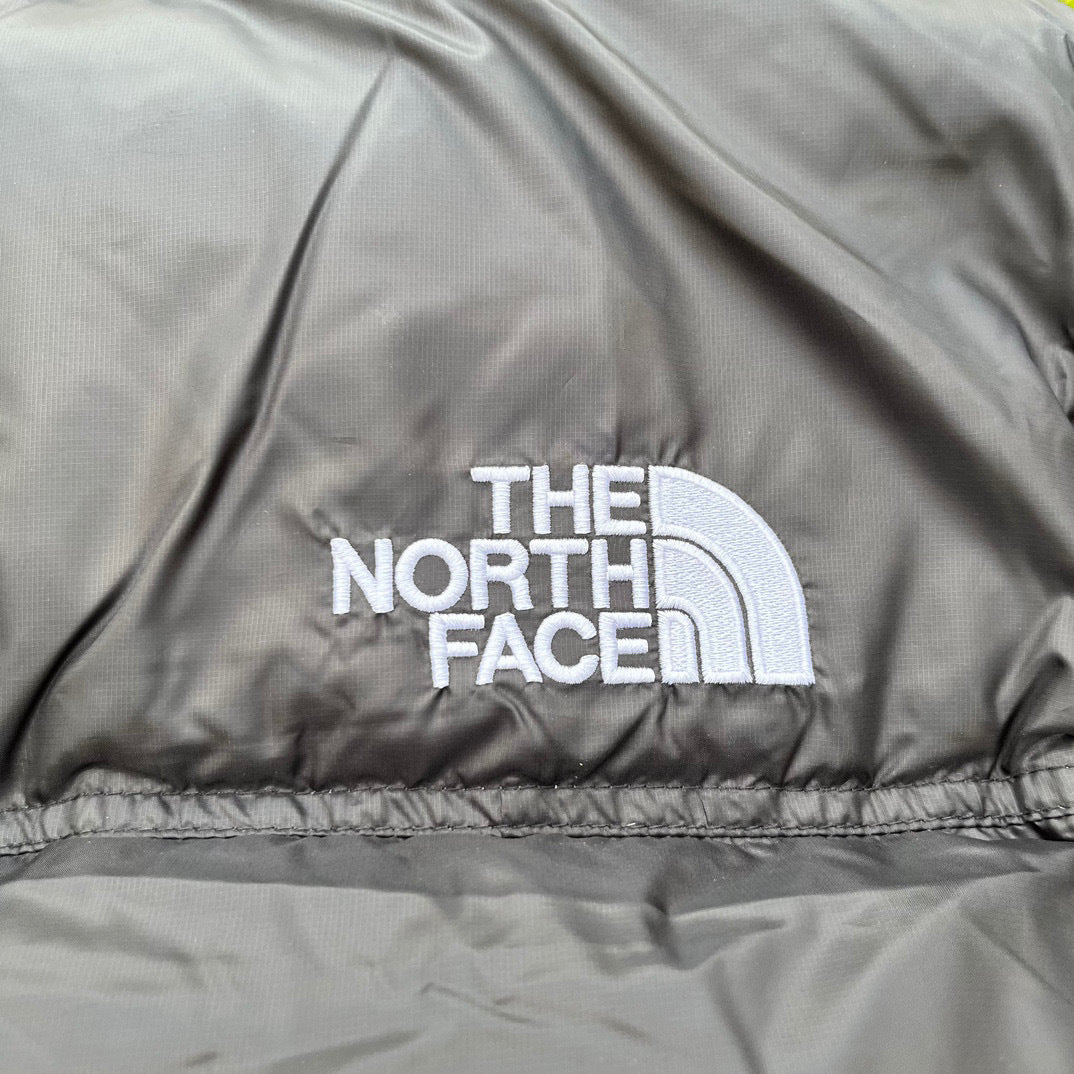 【最高品質】TNF×DSM 1996 Retro Nuptse 700 Fill Packable Jacket