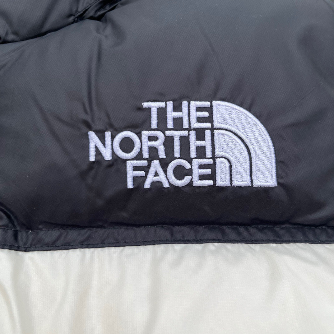 【最高品質】TNF×DSM 1996 Retro Nuptse 700 Fill Packable Jacket