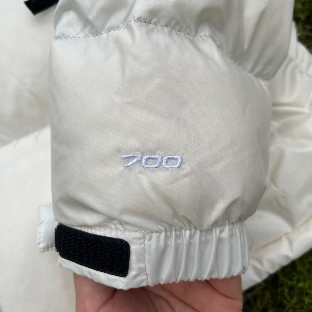 【最高品質】TNF×DSM 1996 Retro Nuptse 700 Fill Packable Jacket