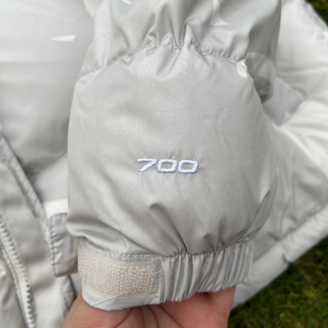 【最高品質】KAWS x The North Face Retro 1996 Nuptse Jacket