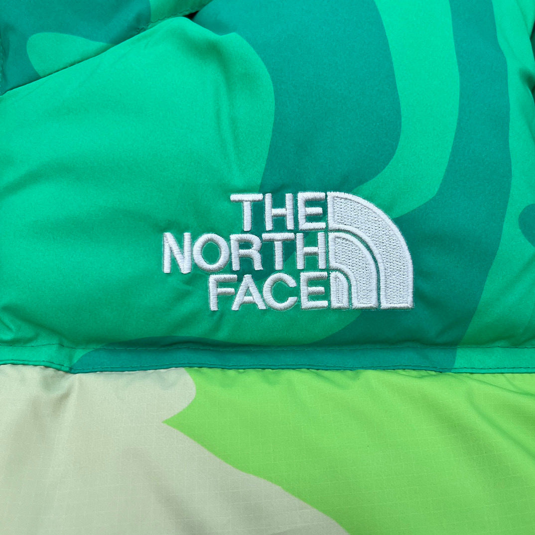 【最高品質】KAWS x The North Face Retro 1996 Nuptse Jacket