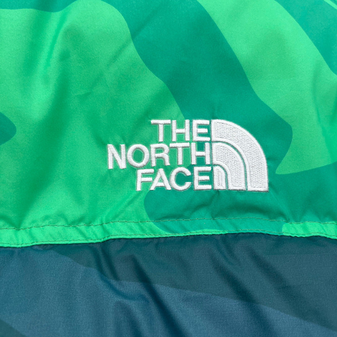 【最高品質】KAWS x The North Face Retro 1996 Nuptse Jacket